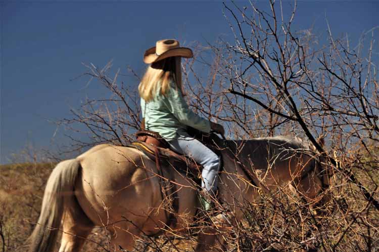 horse riders
